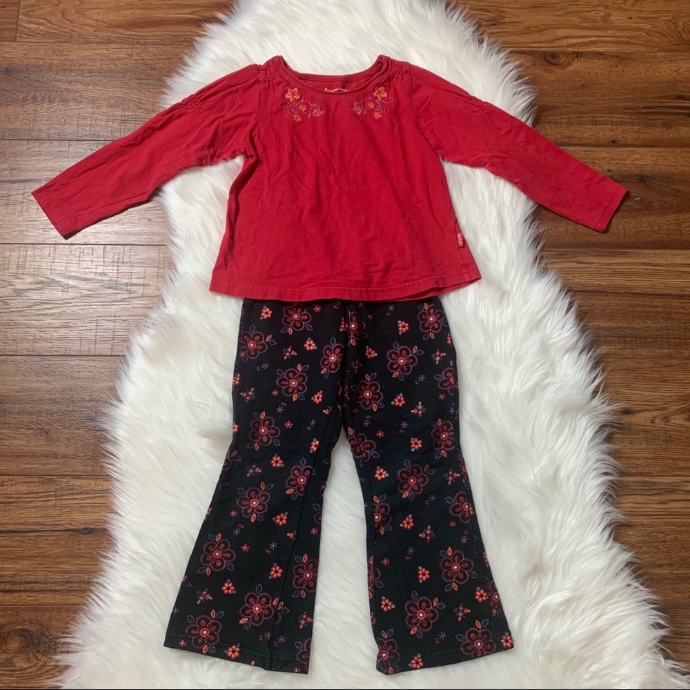 Pumpkin Patch Little Girl Play Clothes Size 4 EUC Fall Outfit